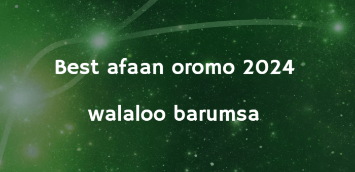 Best Walaloo Barumsa Afaan Oromo 2024 | Afaan Oromoo